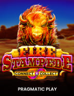 วิธีเล่น bee slot ให้รับโบนัสและทำกำไร