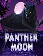 วิธีเล่น we66 joker ให้สนุกและมีโอกาสชนะ